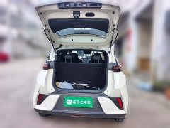 BYD Seagull Smart Drive 405km Flight Edition - ფოტო 20