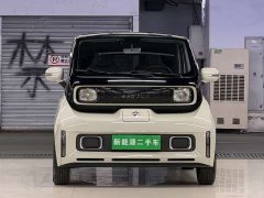 Wuling Baojun KiWi EV Designer Lite Edition Ternary Lithium - ფოტო 2