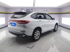 Haval M6 PLUS 1.5T DCT Luxury Smart Connected Edition - ფოტო 3