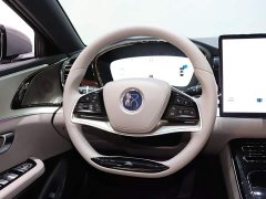 BYD Han 2025 DM-i 125KM Elite - ფოტო 13