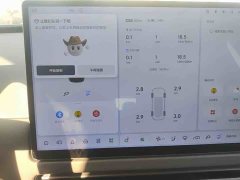 Li Auto i8 Standard Edition - ფოტო 6