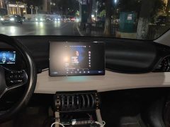 BYD Yuan Plus 2024 Glory Edition 430KM Leading - ფოტო 13