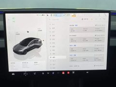 Tesla Model 3 Rear-Wheel Drive - ფოტო 13