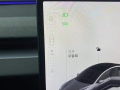 Tesla Model 3 Rear-Wheel Drive - ფოტო 19