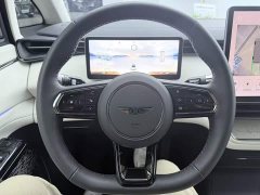 Wing Zhen LEVC L380 650km Flagship AWD - ფოტო 11
