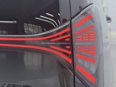 Wing Zhen LEVC L380 650km Flagship AWD - ფოტო 6