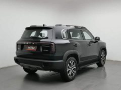 Great Wall Dachshund 2024 1.5T DCT Border Collie Edition - ფოტო 2