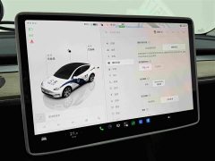 Tesla Model Y 2022 Facelift Rear-Wheel Drive - ფოტო 10