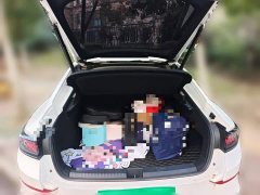 Volkswagen Lingdu L 280TSI DSG Spicy Edition - ფოტო 20