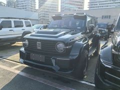 Tank 300 Off-Road Edition 2.0T Conqueror - ფოტო 1