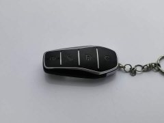 BYD Han DM-i 121KM Respect Edition - ფოტო 19
