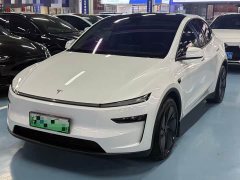 Tesla Model Y Long Range All-Wheel Drive Launch Edition - ფოტო 1