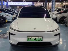 Tesla Model Y Long Range All-Wheel Drive Launch Edition - ფოტო 2