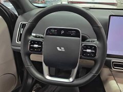 Li Auto L6 Pro - ფოტო 15