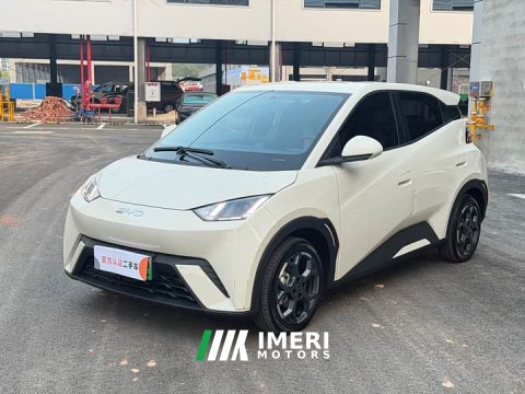 2025 BYD Seagull 2024 Glory Edition 405km Flying Edition - ავტომობილი ჩინეთიდან
