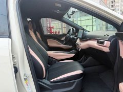 BYD Seagull 2024 Glory Edition 405km Flying Edition - ფოტო 10