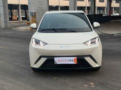 BYD Seagull 2024 Glory Edition 405km Flying Edition - ფოტო 2