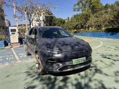 Denza X 2020 PHEV Premier Edition - ფოტო 3