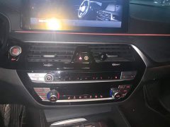 BMW 5 Series Facelift 530Li Premier M Sport Package - ფოტო 12
