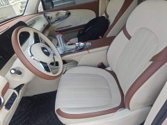 Ora Ballet Cat 2023 401km Deluxe - ფოტო 11