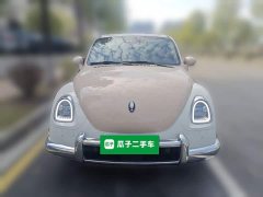 Ora Ballet Cat 2023 401km Deluxe - ფოტო 2