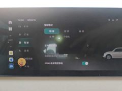 Ora Ballet Cat 2023 401km Deluxe - ფოტო 20