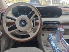 Ora Ballet Cat 2023 401km Deluxe - ფოტო 5