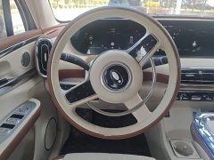 Ora Ballet Cat 2023 401km Deluxe - ფოტო 6