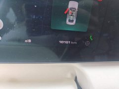 Ora Ballet Cat 2023 401km Deluxe - ფოტო 8