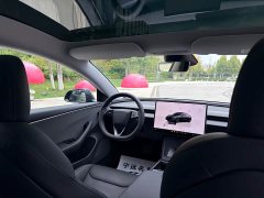 Tesla Model 3 Rear-Wheel Drive - ფოტო 15