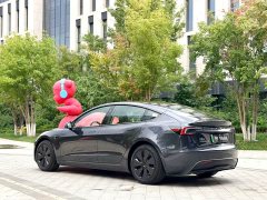 Tesla Model 3 Rear-Wheel Drive - ფოტო 17