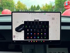Tesla Model 3 Rear-Wheel Drive - ფოტო 8