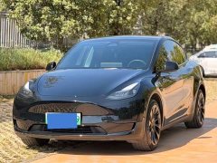 Tesla Model Y Rear-Wheel Drive - ფოტო 1