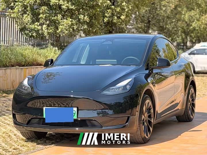 Tesla Model Y Rear-Wheel Drive