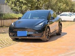 Tesla Model Y Rear-Wheel Drive - ფოტო 13