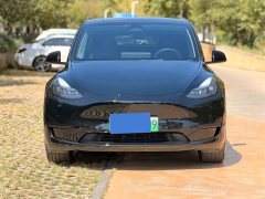 Tesla Model Y Rear-Wheel Drive - ფოტო 2