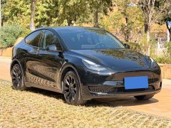 Tesla Model Y Rear-Wheel Drive - ფოტო 3