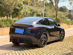 Tesla Model Y Rear-Wheel Drive - ფოტო 4