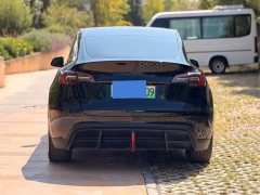 Tesla Model Y Rear-Wheel Drive - ფოტო 5