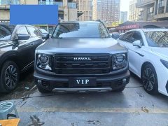 Great Wall Dachshund 2026 1.5T DCT Border Collie Edition - ფოტო 2