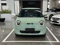 Changan Lumin 205km Xiangqin Edition - ფოტო 2