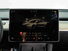 Tesla Model 3 2022 Rear-Wheel Drive - ფოტო 14