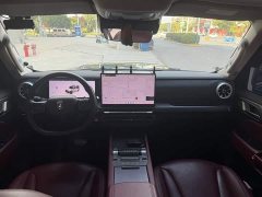 Tank 300 New Energy Hi4-T 37.1kWh - ფოტო 5