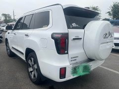 Beijing Off-Road BJ60 Extended Range 2024 Advanced Extended Range 5-Seater - ფოტო 17