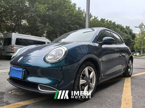 2021 ORA Good Cat 500km Long Range Apollo Edition Ternary Lithium Battery - ავტომობილი ჩინეთიდან