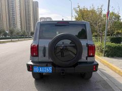 Tank 300 Off-Road Edition 2.0T Conqueror - ფოტო 5