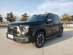Great Wall Dachshund 2.0T DCT Chinese Rural Dog Edition - ფოტო 1