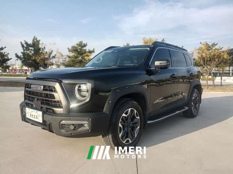 2024 Great Wall Dachshund 2.0T DCT Chinese Rural Dog Edition - ავტომობილი ჩინეთიდან