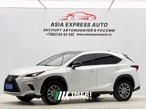 2021 Lexus NX 2020 200 FWD Sharp Edition National VI - ავტომობილი ჩინეთიდან