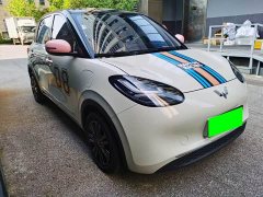 Wuling Binguo 333km Lingxi Connected Edition - ფოტო 4